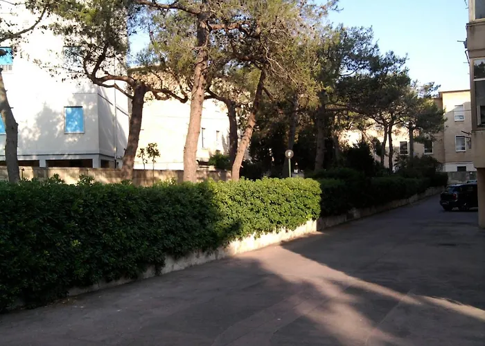 Armonie Centro